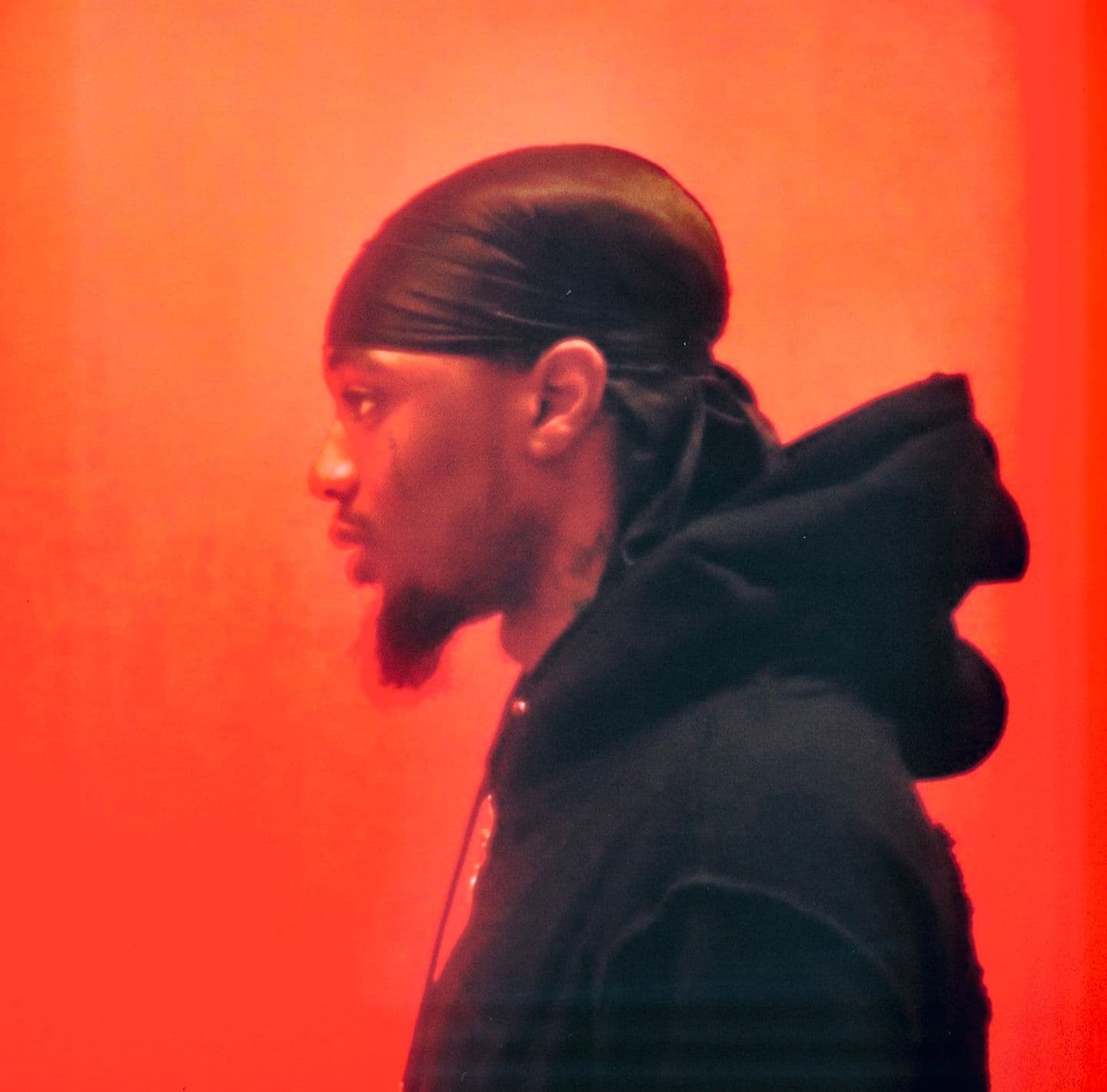 portrait of mulamandam